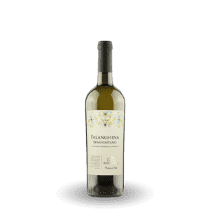 Domus Vini - Terre Borboniche Falanghina Beneventano IGT