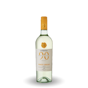 90 Novantaceppi - Pinot Grigio DOC